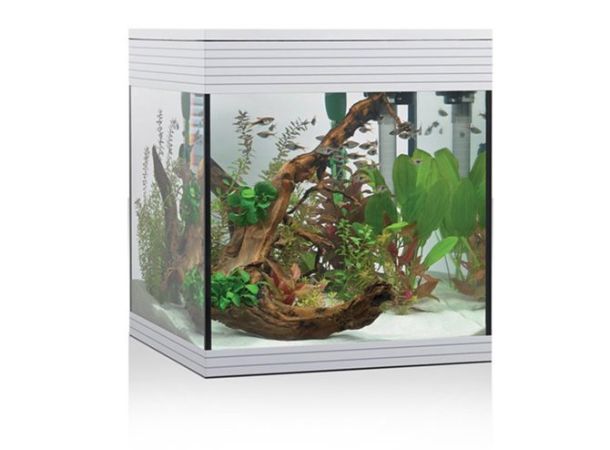 acquario pure bianco