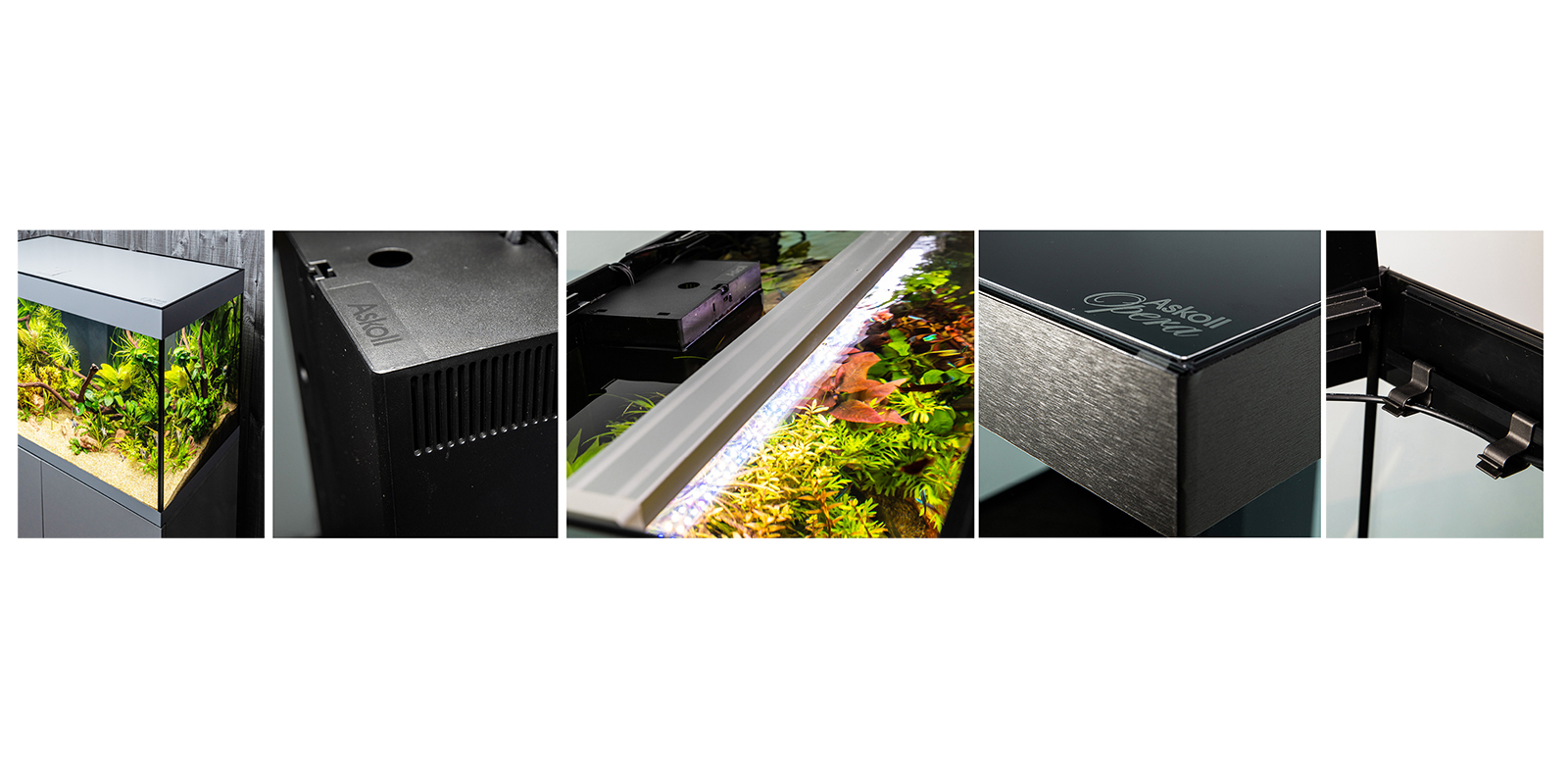 Askoll OPERA - immagine 3